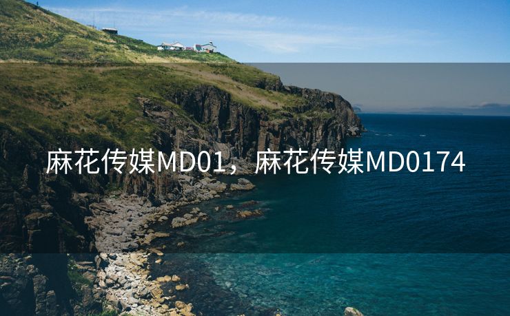 麻花传媒MD01，麻花传媒MD0174