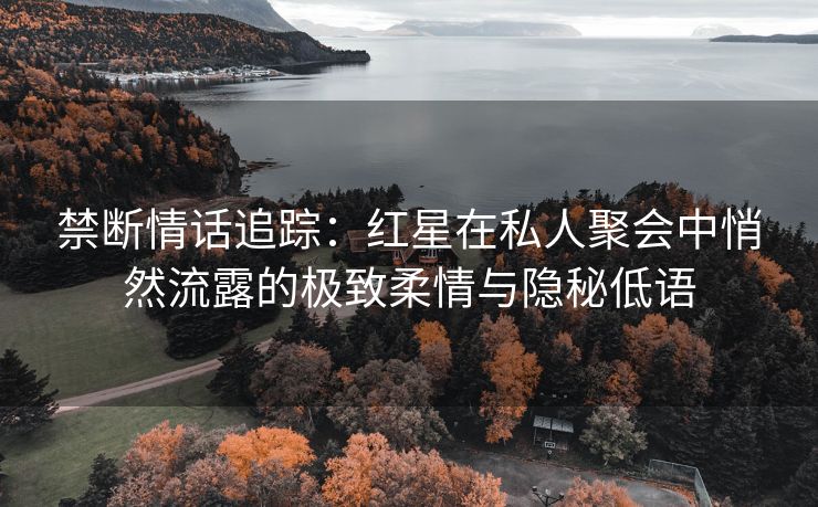 禁断情话追踪:红星在私人聚会中悄然流露的极致柔情与隐秘低语 禁断情话追踪:红星在私人聚会中悄然流露的极致柔情与隐秘低语