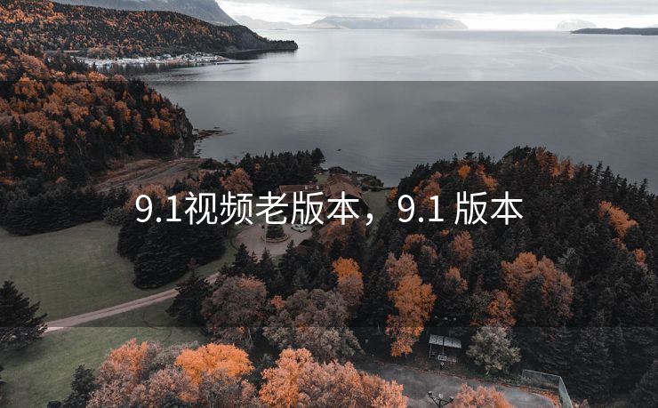 9.1视频老版本，9.1 版本